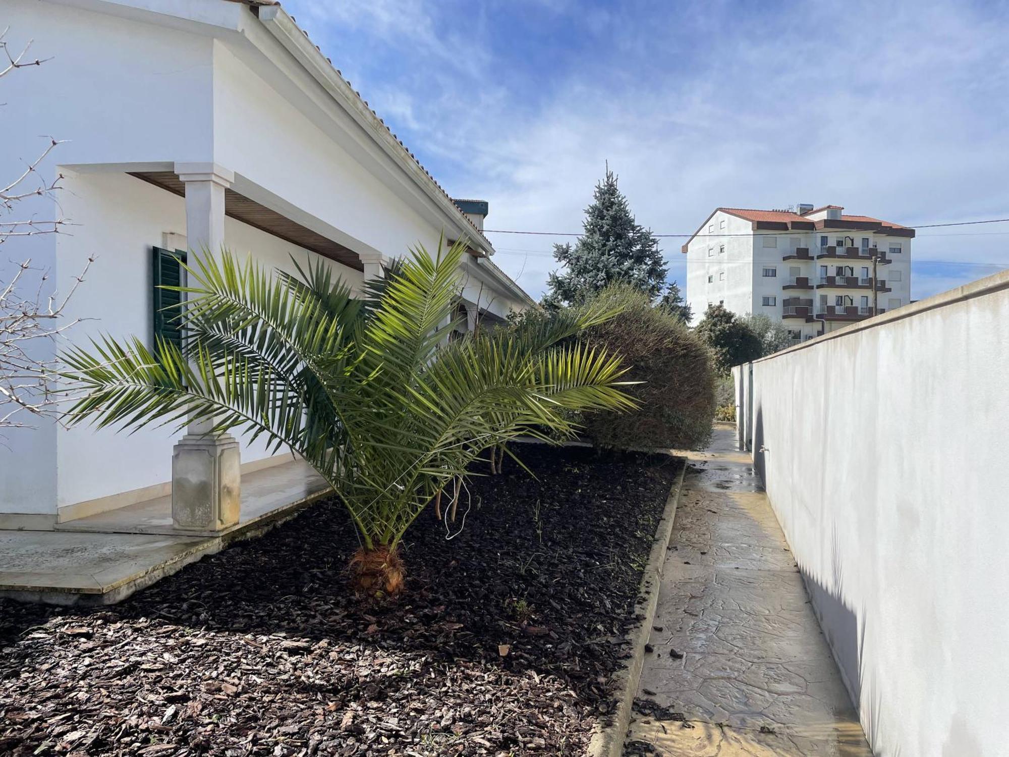 Casa Com Alma Pensionat Fátima Exteriör bild